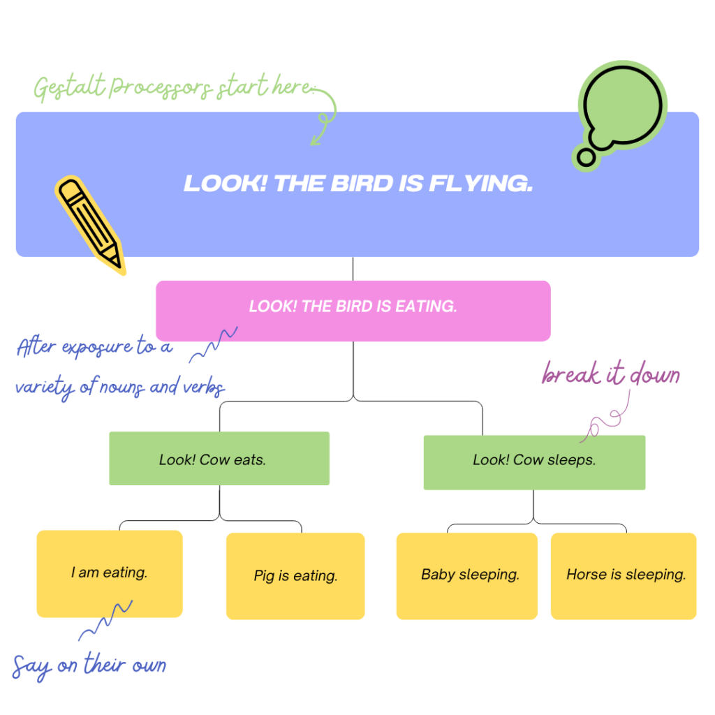 visual for how Gestalt Language Learners learn language