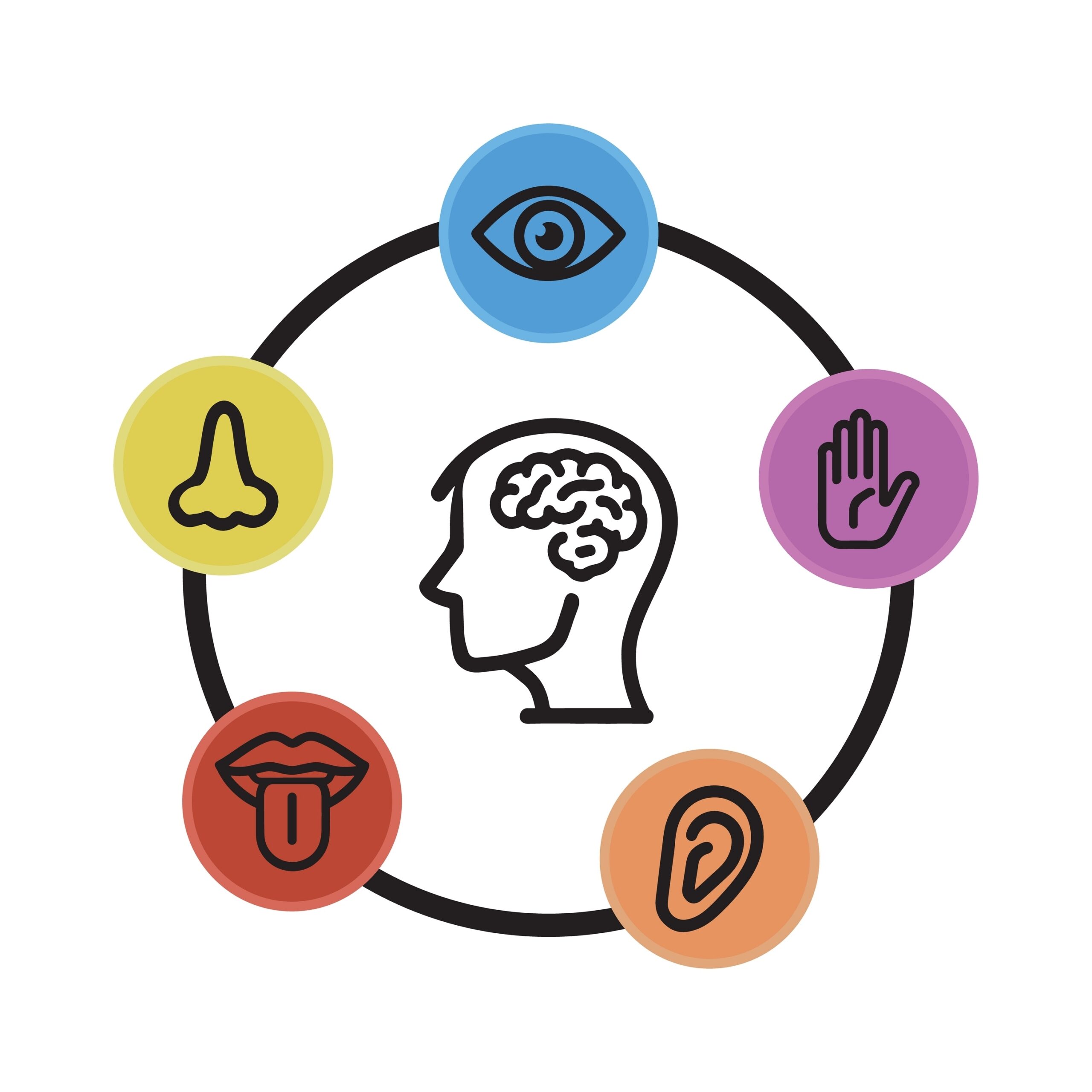 Interoception graphic