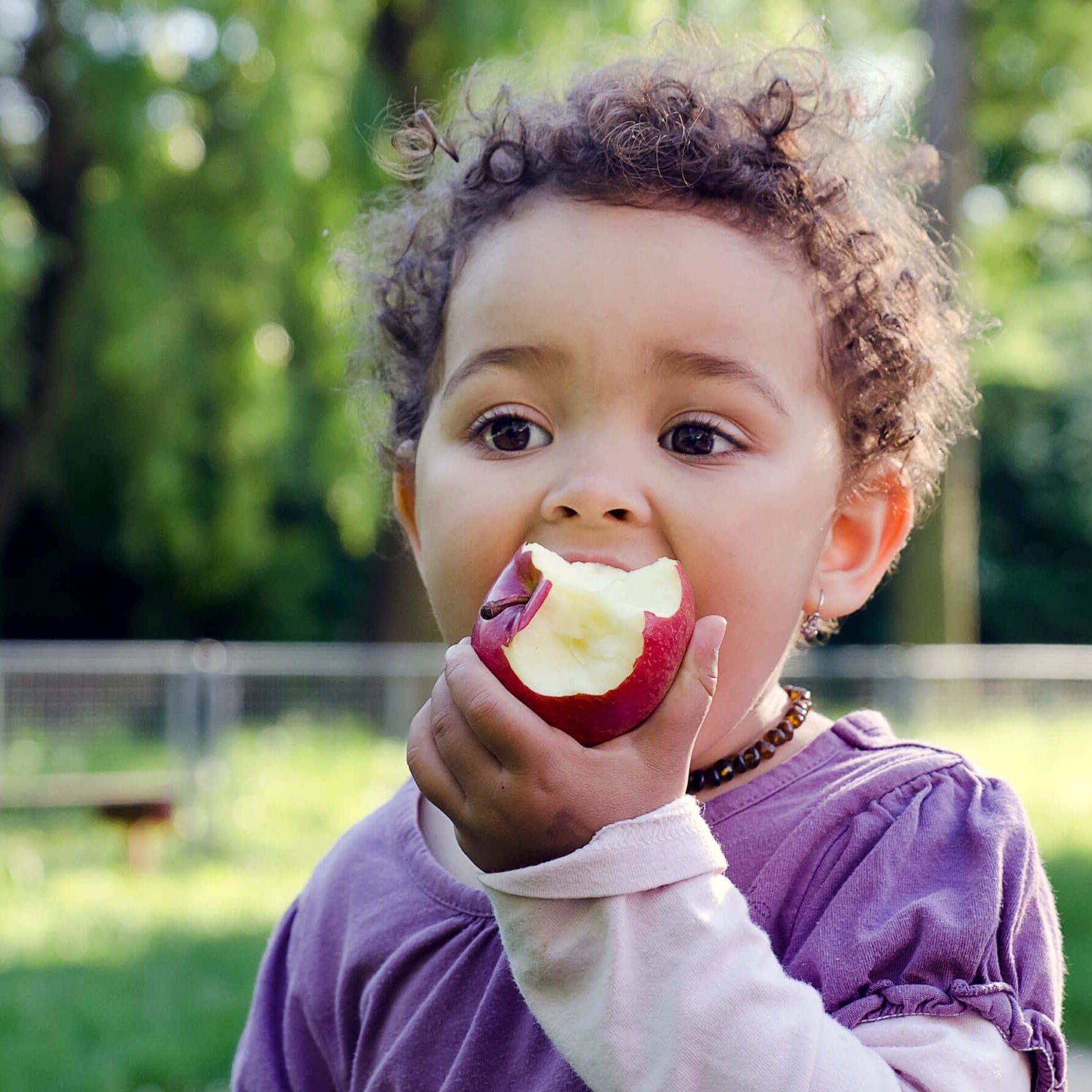 young child eating an apple